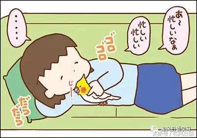 不小心踩死自己的宠物痛哭流涕,不小心把宠物压死了