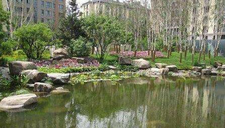 哈尔滨群力购房趋势,哈尔滨群力西区的升值空间