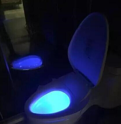 今天是个重要的日子搞笑,今天是个重要日子素材