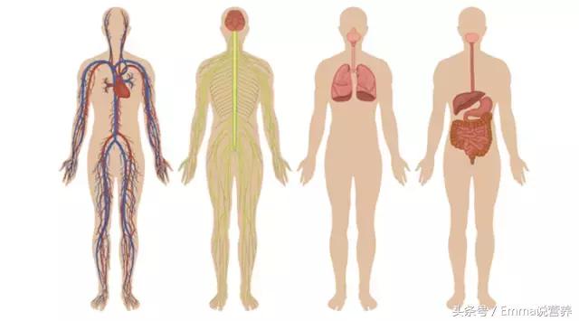 “卵磷脂”并非“然并卵”,它的好处你可知道?