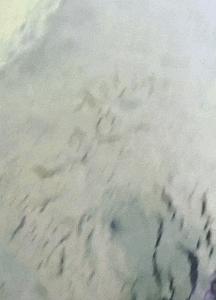 抓甲鱼视频100斤大甲鱼,甲鱼高手视频教程