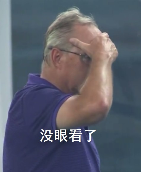 中超韦世豪表情包,德国7比1勒夫表情包
