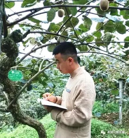 四川旅游一条很直的公路,四川唯一一条有路灯的高速公路