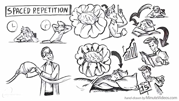 怎样提高孩子的学习效率案例分享,如何提升学习效率和方法300字