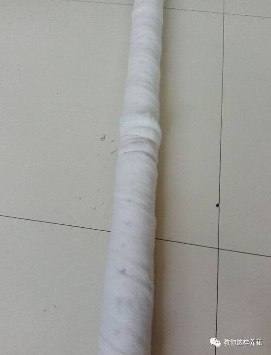 自制绿萝棕柱视频,自制绿萝柱子