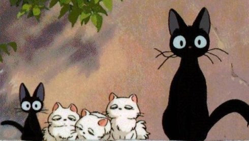 可爱猫咪动画片有哪些,十大可爱的猫咪动画片