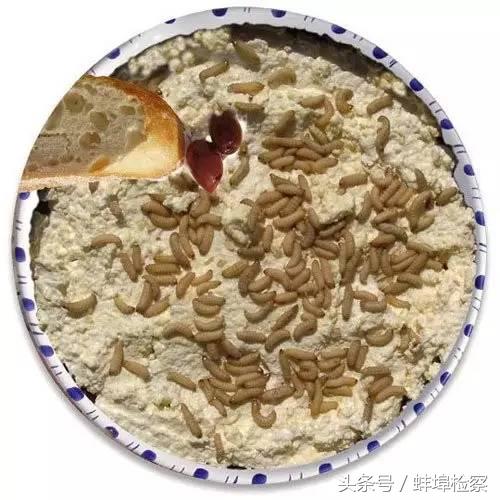 王勤伯巴西葡语咋样,王勤伯是什么