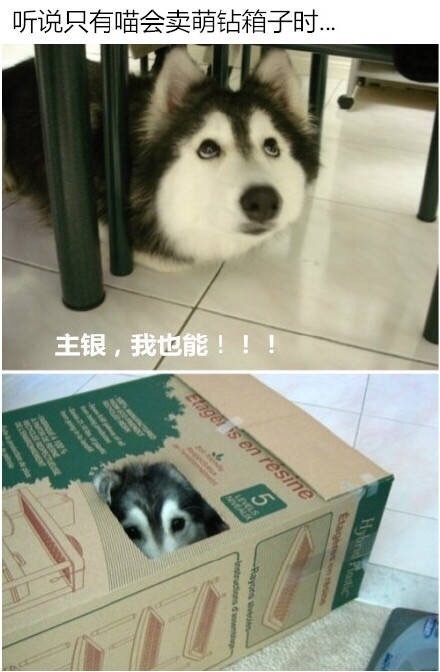 员工辞职理由怎么写,员工辞职申请需要审批吗