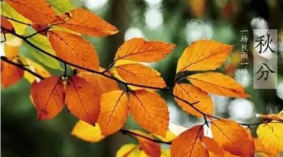 春分和秋分节气,春分和秋分节气的特点