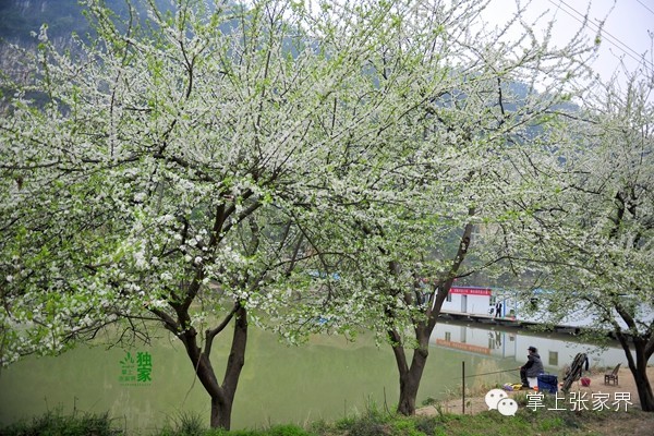 钓了8小时鱼塘老板哭了,黑坑老板被钓鱼人打崩溃