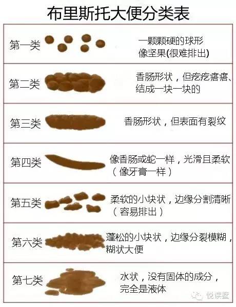 夜读|最理想最健康的粑粑长这样