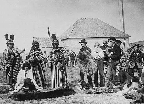 河狸皮毛的优点,河狸皮毛十分名贵