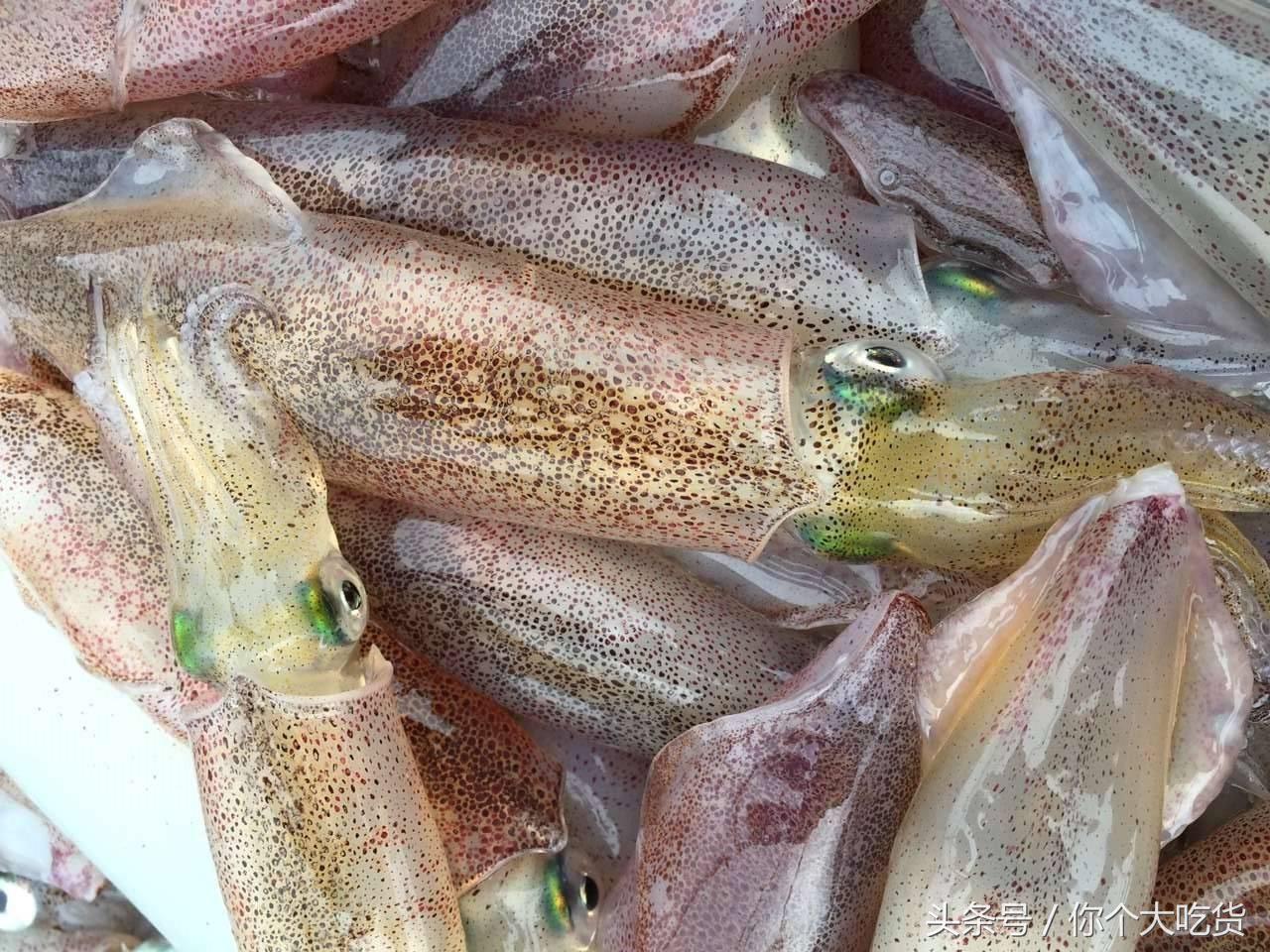 食材｜东山小管：有着一肚子的墨水，却是鱿鱼家族的小可爱！