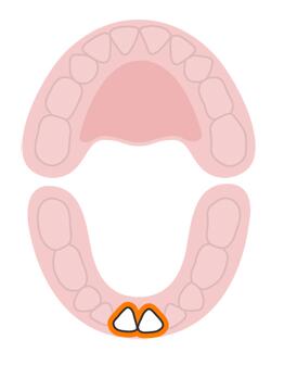宝宝长牙顺序和换牙顺序一样吗,宝宝换牙有什么征兆