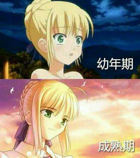 fatestaynight中的名场面,fatestaynight经典语录