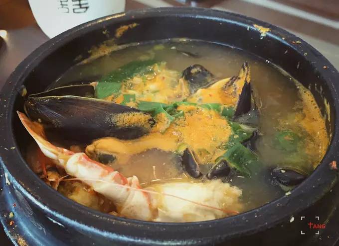 做一只治愈的猫,做一只快乐的柴犬