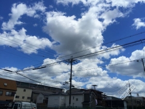 日本小众深度游玩攻略,日本关西打卡攻略