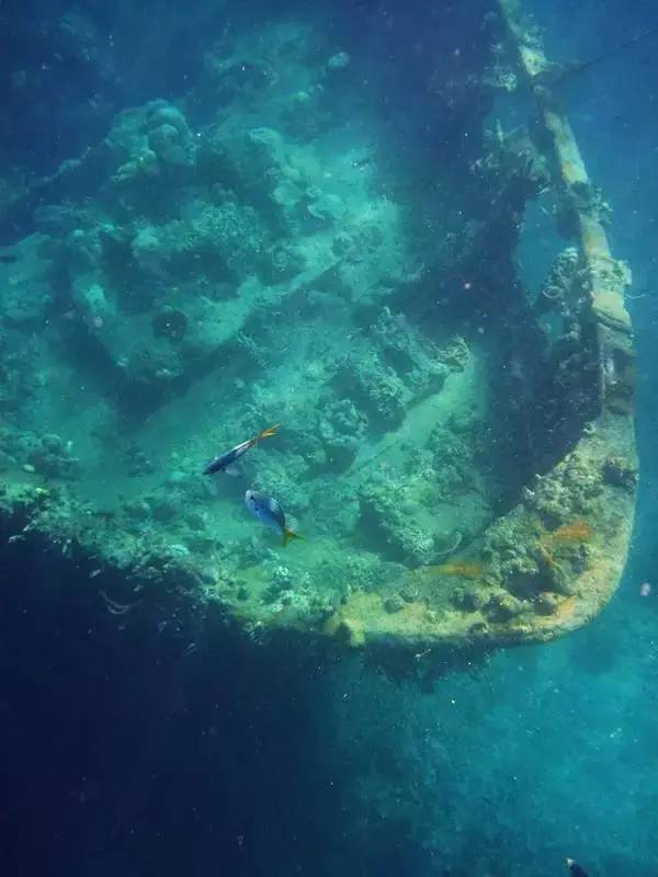 巴拉望岛好玩吗,巴拉望岛最大的岛屿