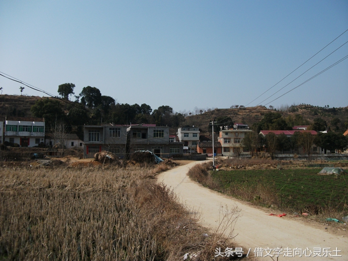 真切怀念老乡邓国金