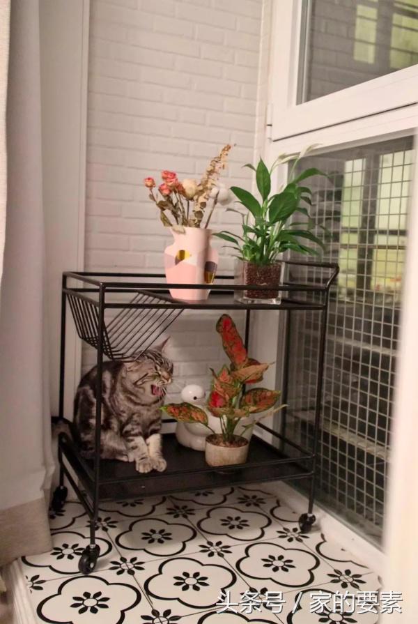 拒绝性冷淡,她把马卡龙色涂上了墙