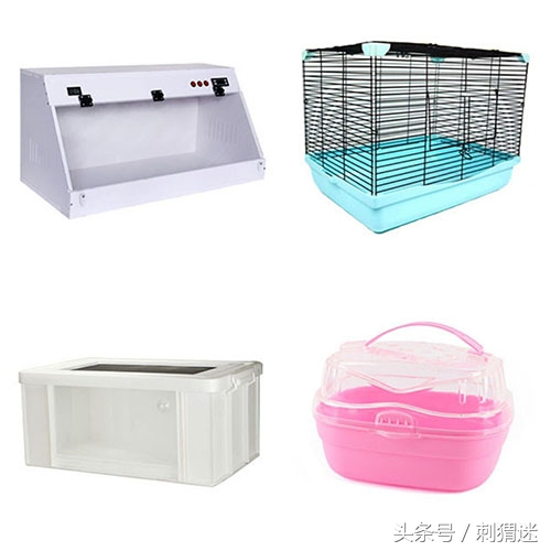 想养宠物需要做什么,想养宠物条件