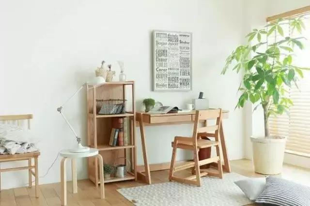 花卉摆放位置有讲究,风水上可以招财的花卉植物