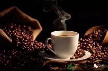 猫屎咖啡的由来和传说,传说中的猫咪咖啡