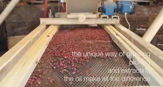 肌肤较干秋冬精华,秋冬不粘腻的精华水