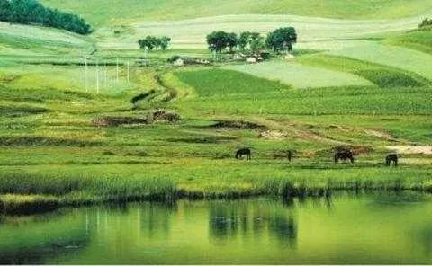 十一去哪玩划算 (十一最适合去哪里玩)