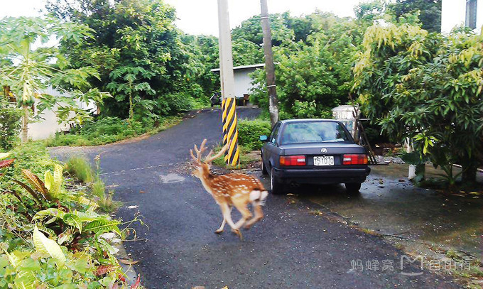 从垦丁到花莲东海岸线游览包车,高雄垦丁包车一日游路线