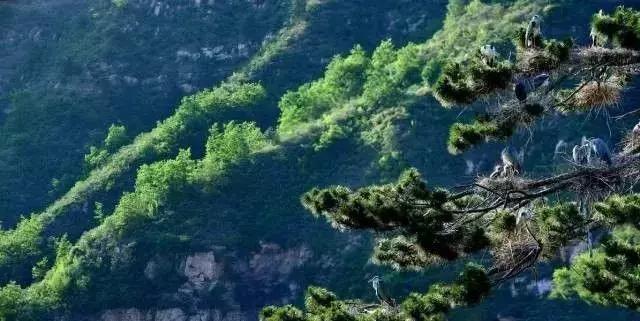 国庆冬秋双节去哪儿最好玩,国庆双节去哪里玩最好