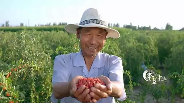 8.9,我们的片终于抢在韩国人前面