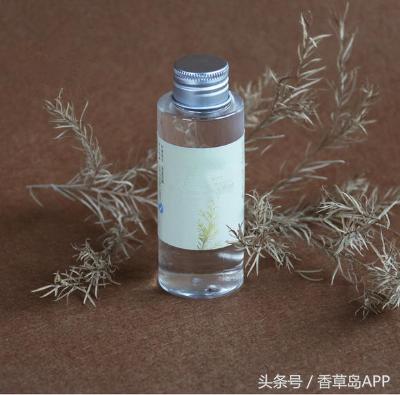 澳洲茶树的发展史,澳洲茶树是松树吗