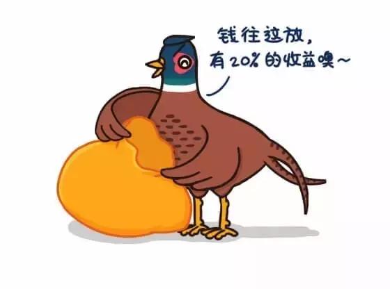 如何避免掉入“野鸡”平台的陷阱｜念钱安小课堂