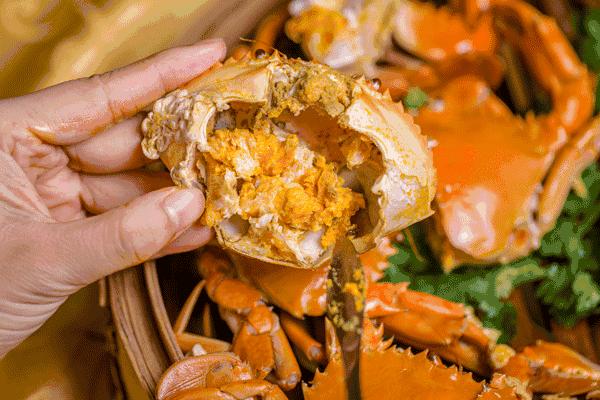 郑州冬天砂锅,郑州超好吃的9家砂锅店