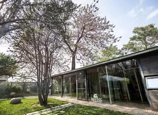 最美的50款婚纱,换上婚纱最美新娘