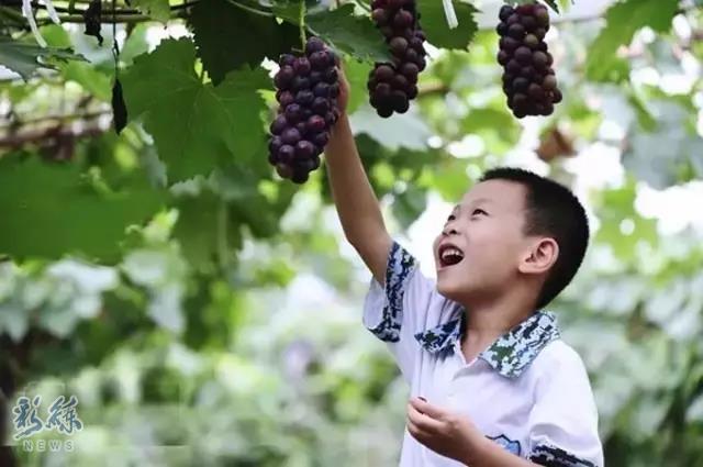 长假不远游的地方,长假不远行浙里有风景