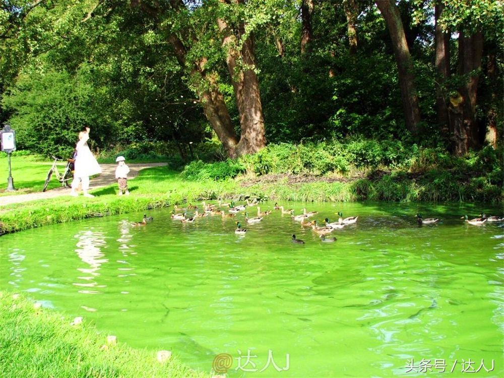 达人J：童话王国丹麦-我愿意