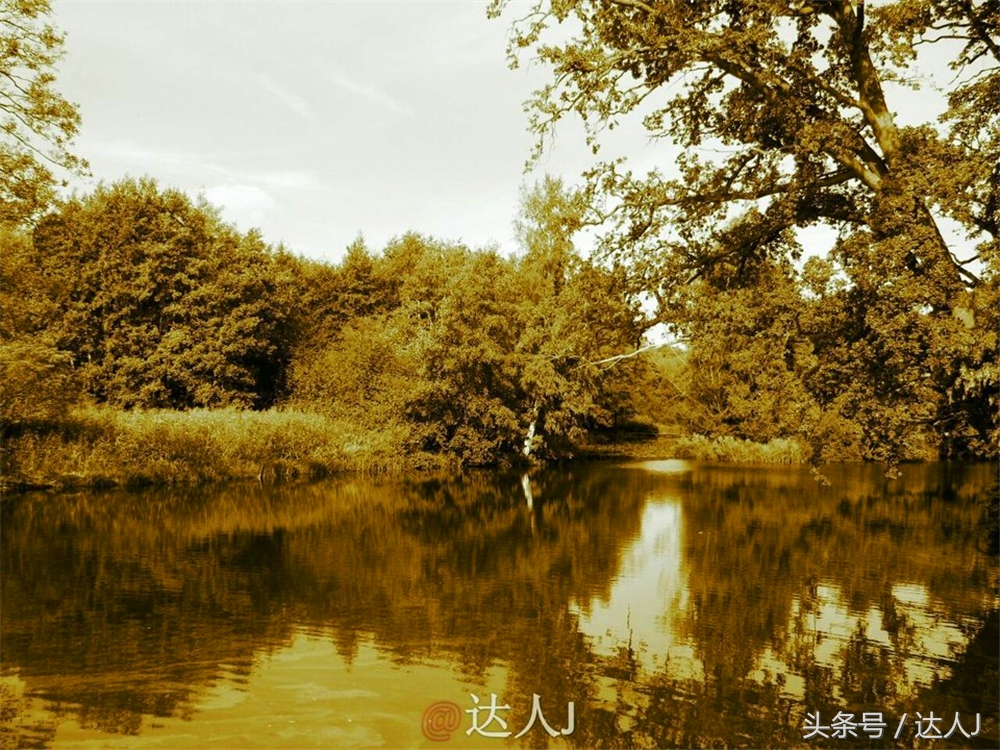 达人J：童话王国丹麦-我愿意