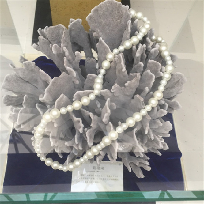 一场说走就走的自驾游旅行,一场说走就走的三亚之旅