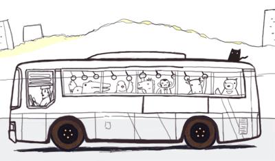 东营开通周末免费旅游专线,喜大普奔怎么开通