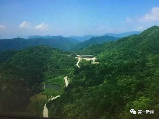 追赶超越看今朝，厉害了！我的“安康绿”！