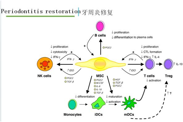 小孩牙周炎自愈的最佳方法,儿童牙周炎能治好吗