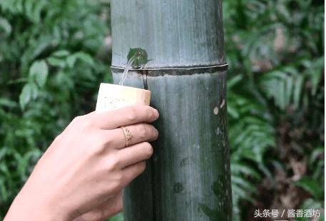 竹筒酒怎么辨别真假,酒鉴别真假的方法