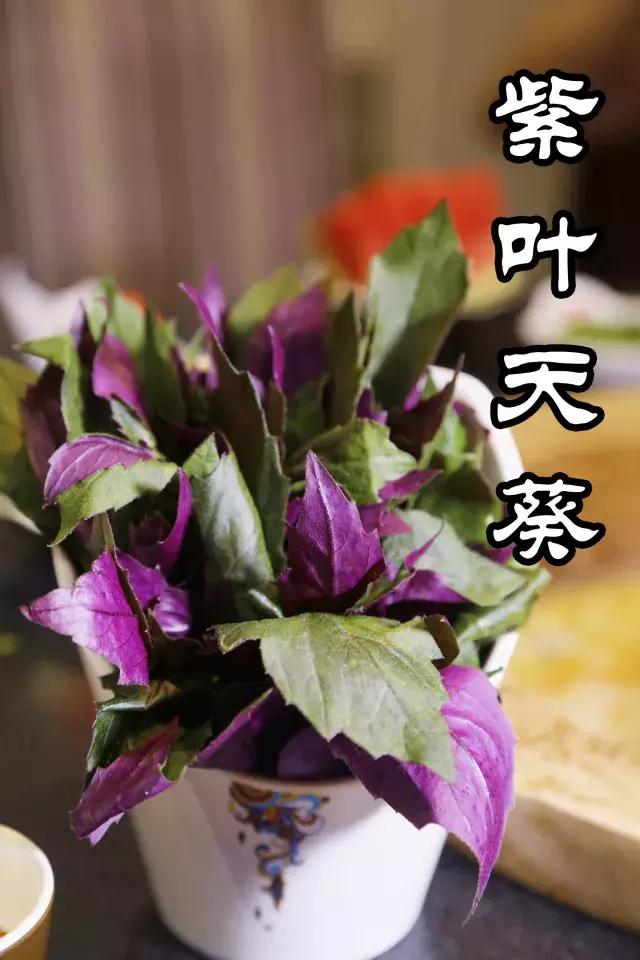 云南蒸汽石锅鱼美味中的精品,仙气飘飘的云南蒸汽石锅鱼