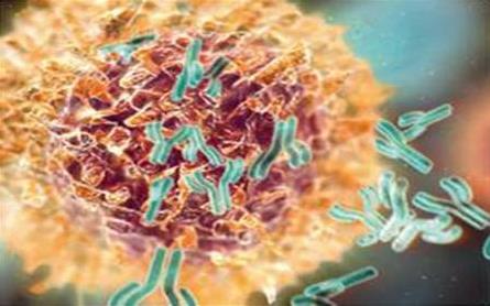 夺走高仓健、罗京的淋巴瘤，究竟是什么鬼？（附三甲医院名单）