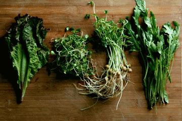 中秋送礼不用月饼送什么,中秋节送礼月饼配啥好