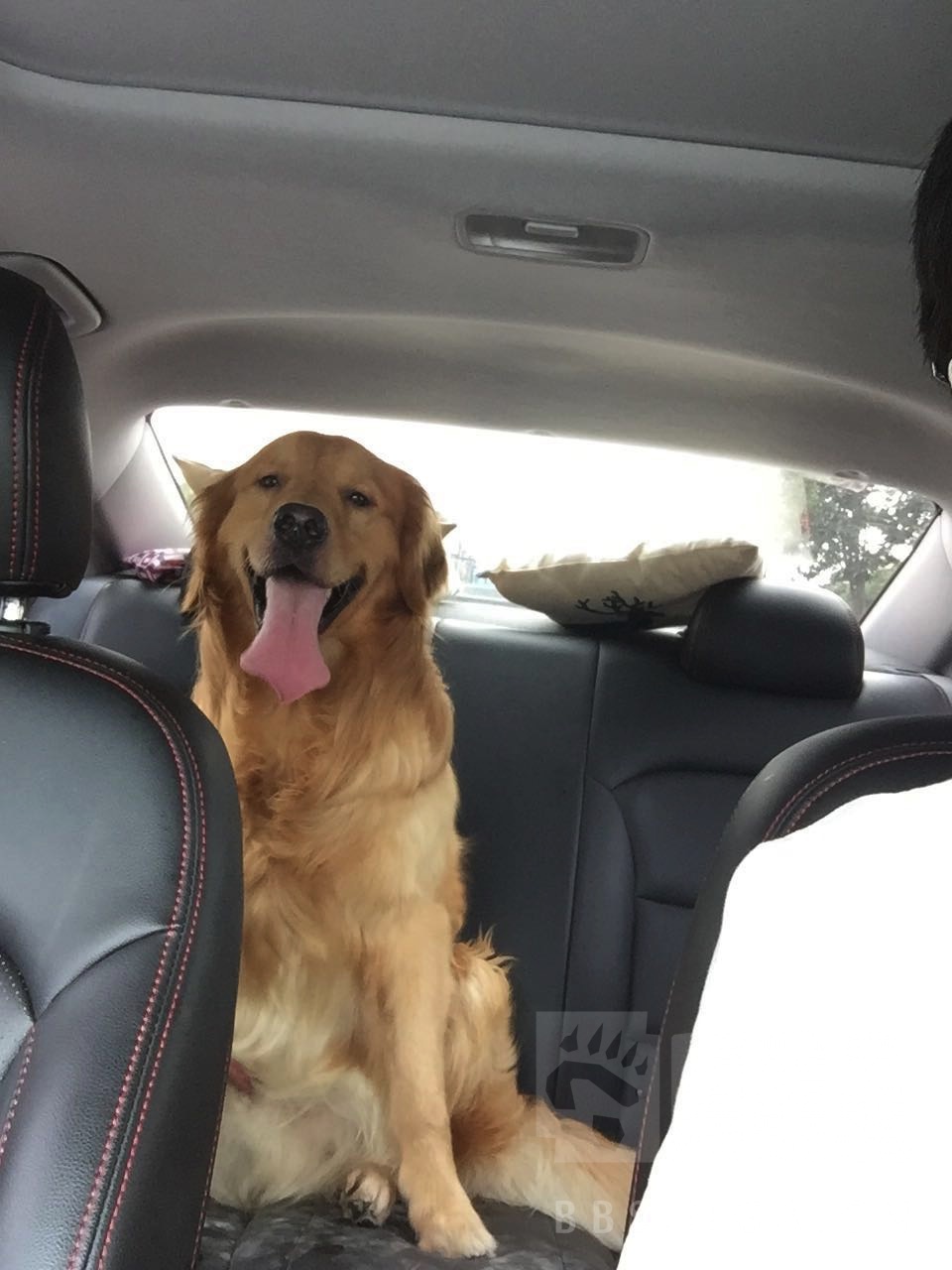 现代领动1.4t提升动力,领动1.6自精