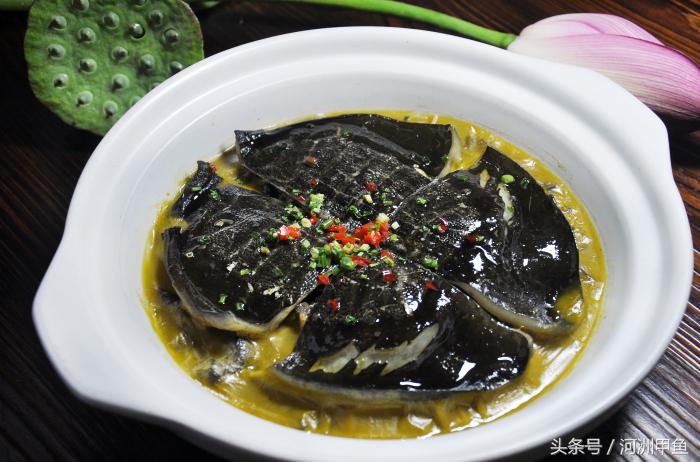 甲鱼菜品介绍术语,甲鱼菜品语言介绍