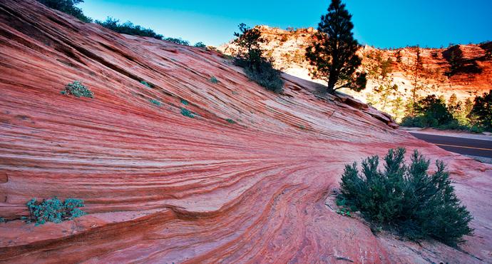 美国东海岸14日旅游攻略,美国西海岸旅游15天攻略